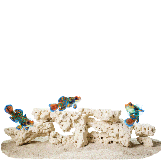CaribSea South Seas Base Shelf Rock 40lb - The Pet Source