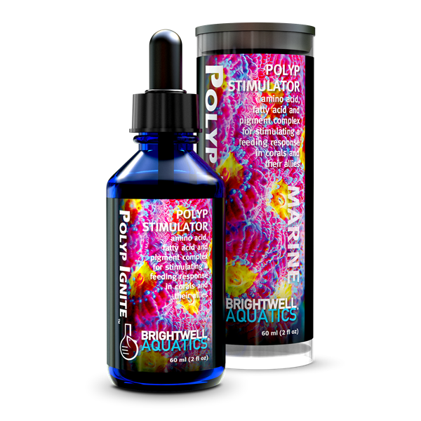 Brightwell Aquatics Polyp Ignite - 60ml - The Pet Source
