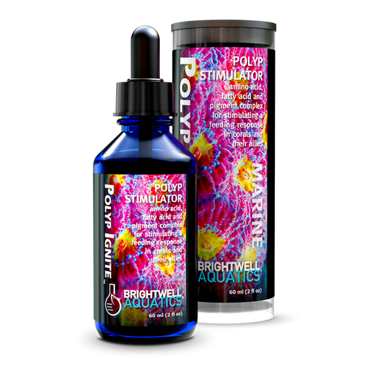 Brightwell Aquatics Polyp Ignite - 60ml - The Pet Source