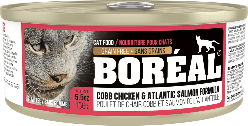 Boreal Cobb Chicken and Atlantic Salmon Wet Cat Food Can - 156g - The Pet Source