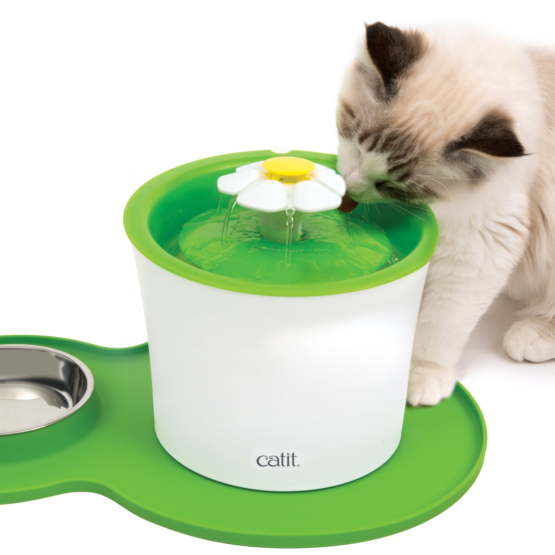 Catit Peanut Placemat Medium - Green - The Pet Source