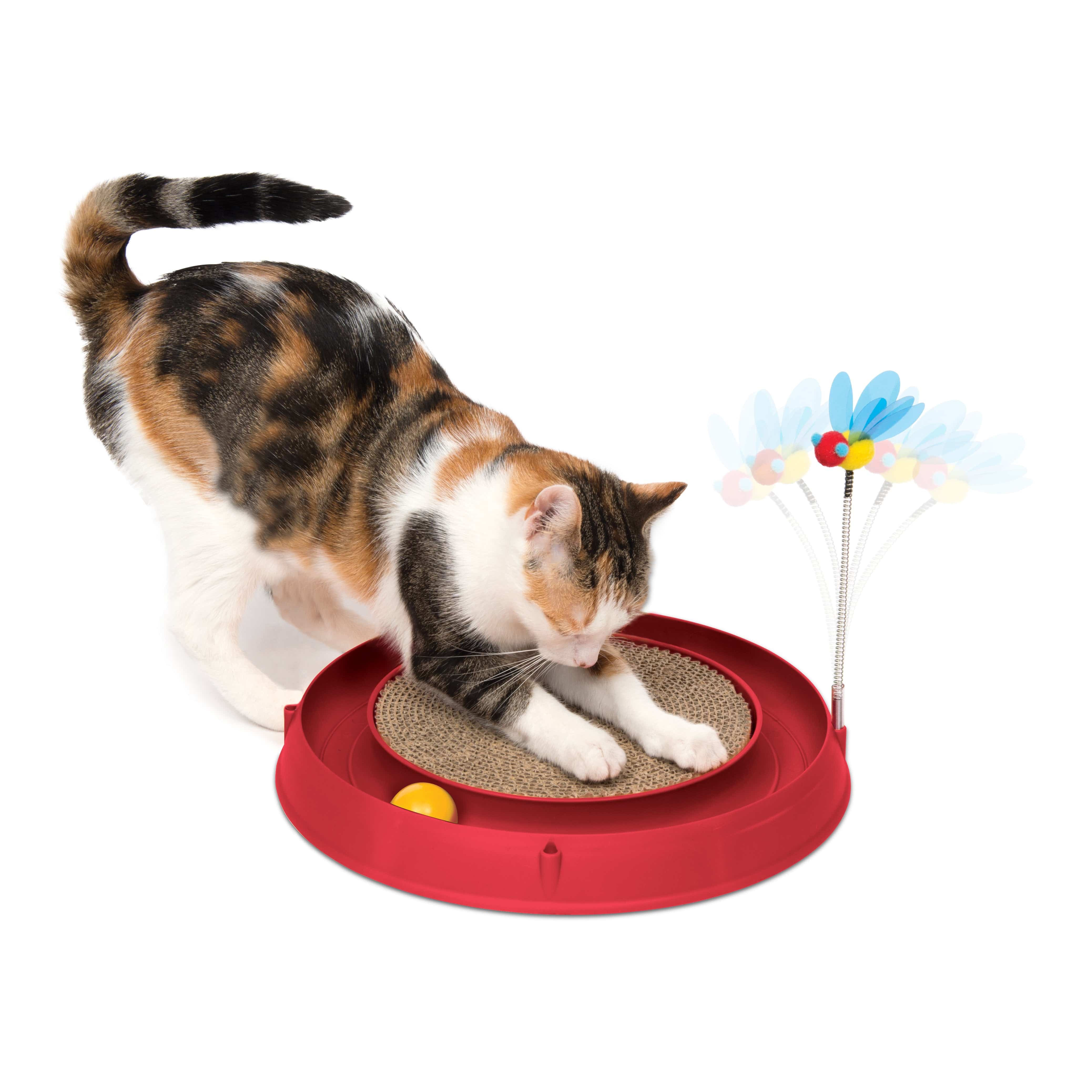 Catit Play 3 in 1 Circuit Ball Toy with Scratch Pad - The Pet Source