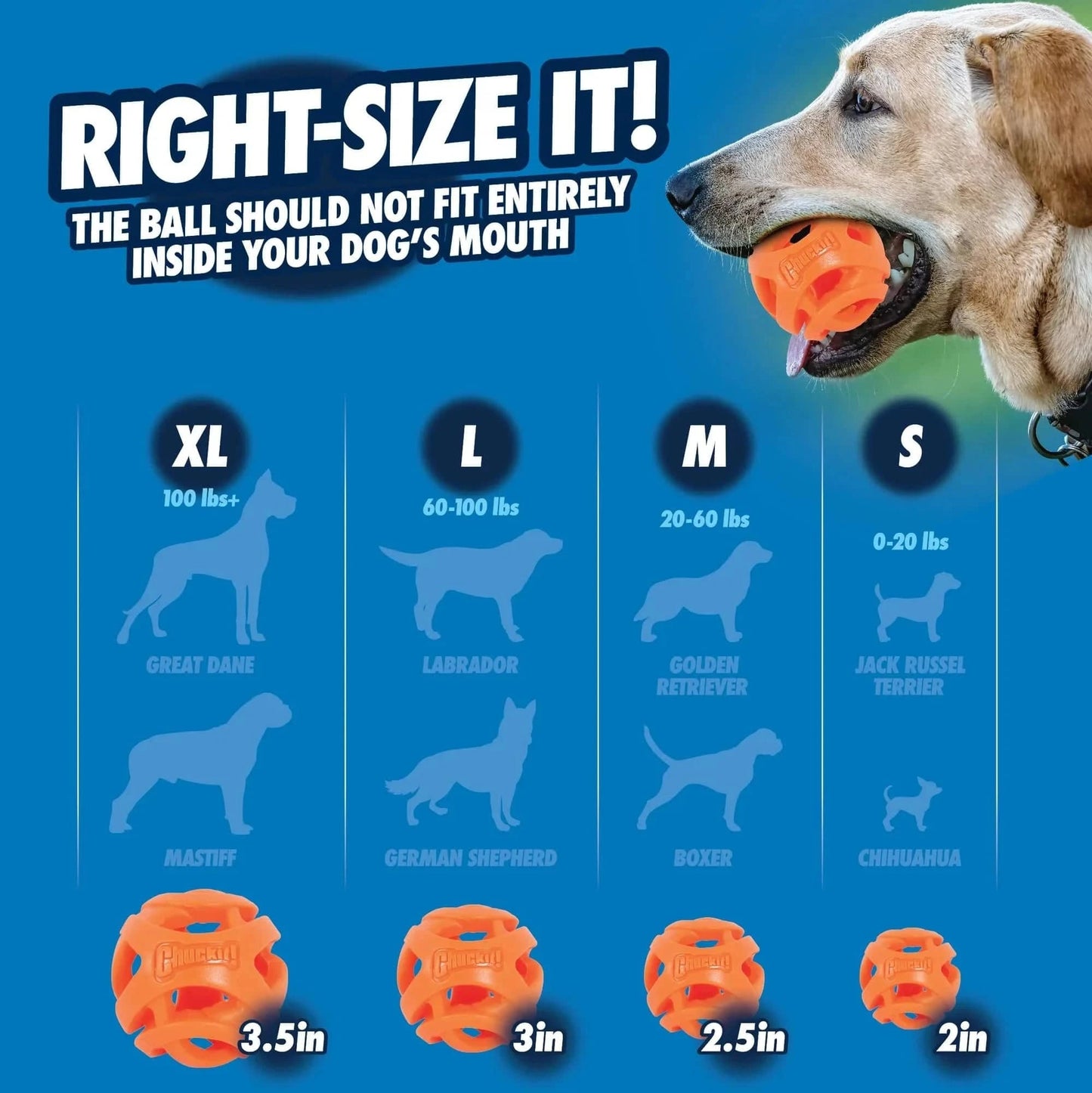 Chuckit! Air Fetch Ball - Large - The Pet Source