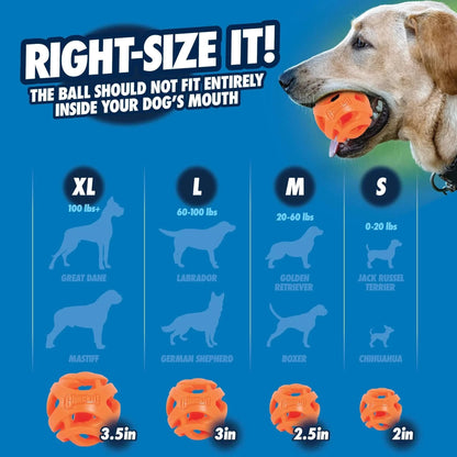 Chuckit! Air Fetch Ball - Large - The Pet Source