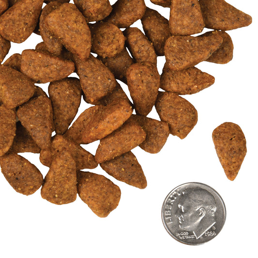 Fromm Four Star Nutritionals Chicken au Frommage Recipe Dry Dog Food - 11.8kg - The Pet Source