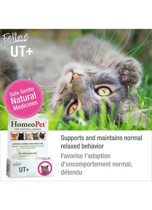 HomeoPet Feline UT+ - 15ml - The Pet Source