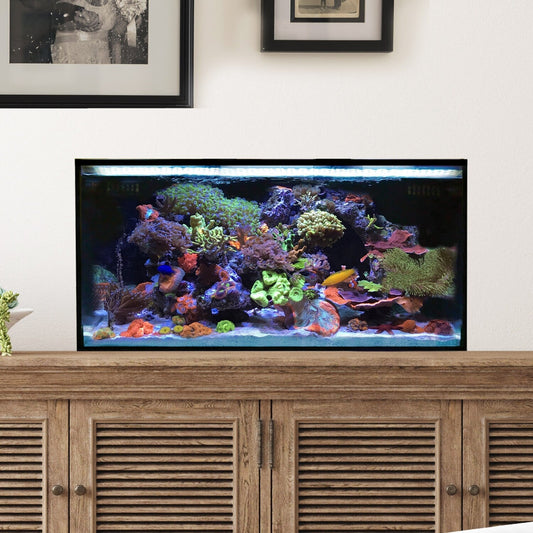Innovative Marine NUVO Fusion - 25 AIO Lagoon Aquarium - Desktop Starter Kit - The Pet Source