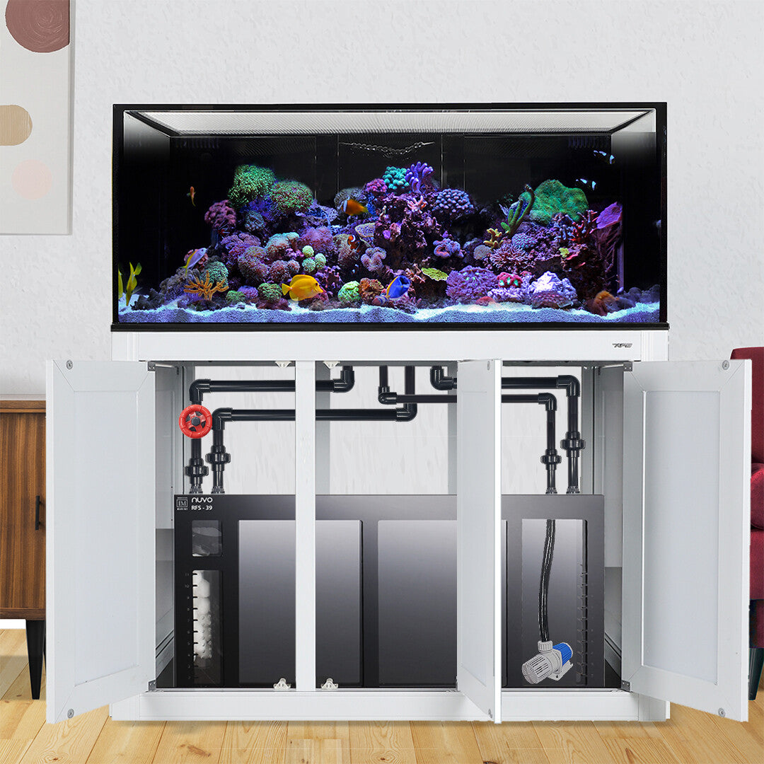 Innovative Marine INT 100 Gallon Complete Reef System - White - The Pet Source