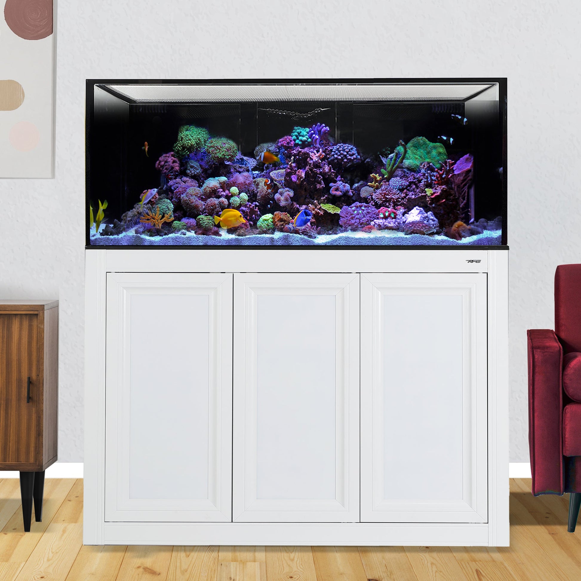 Innovative Marine INT 100 Gallon Complete Reef System - White - The Pet Source