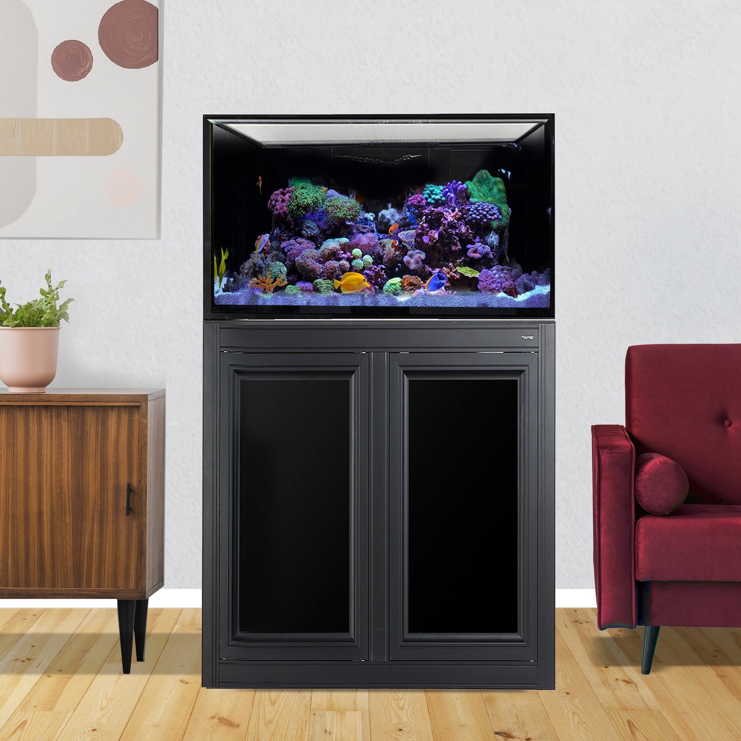 Innovative Marine INT 50 Gallon Complete Reef System - Black - The Pet Source