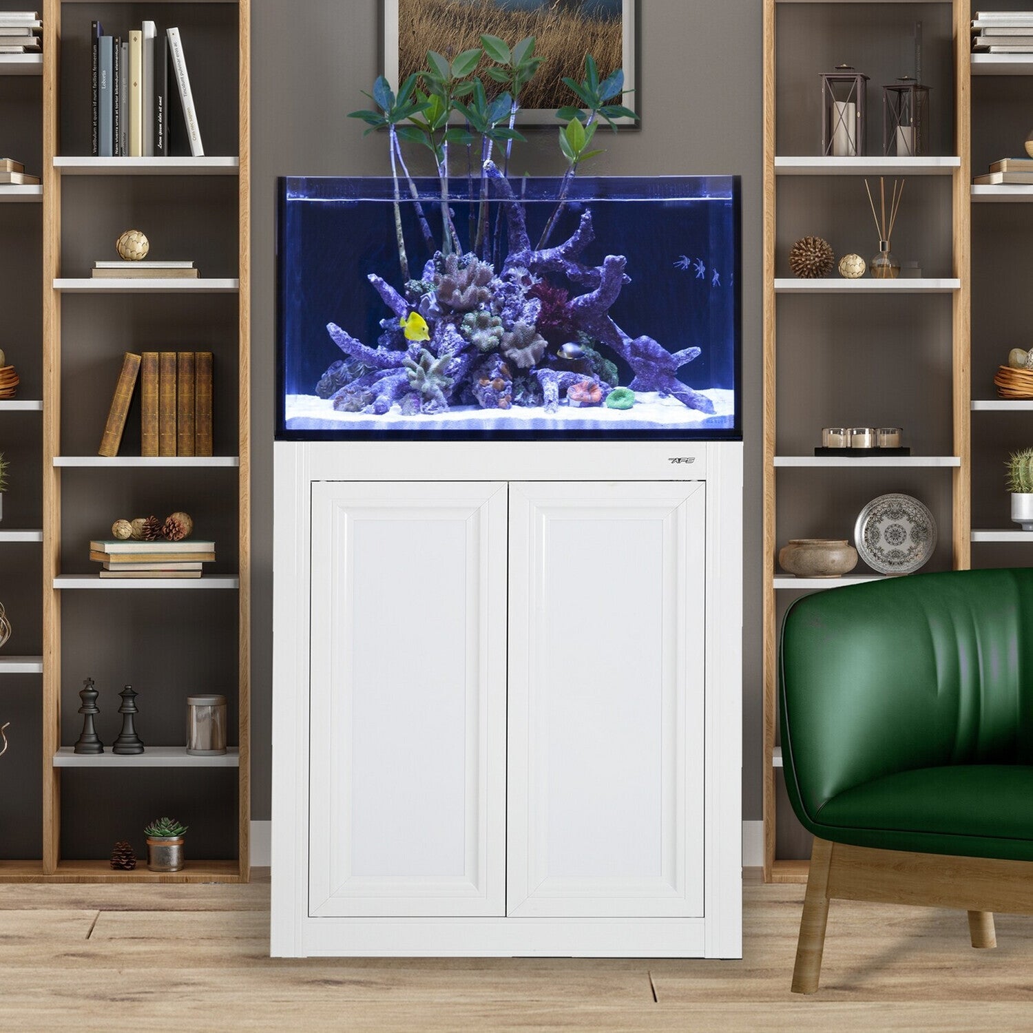 Innovative Marine INT 50 Gallon Complete Reef System - White - The Pet Source