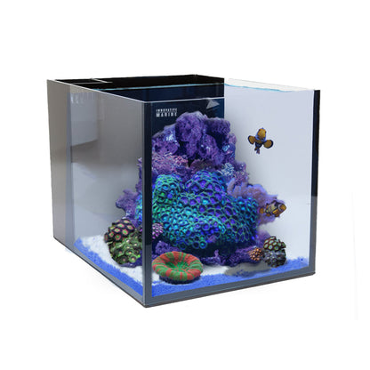 Innovative Marine NUVO Fusion - 15 AIO Cube Aquarium - Desktop Starter Kit - The Pet Source