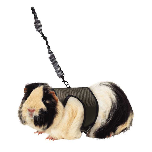 Kaytee Comfort Harness & Stretchy Leash -  Medium - The Pet Source