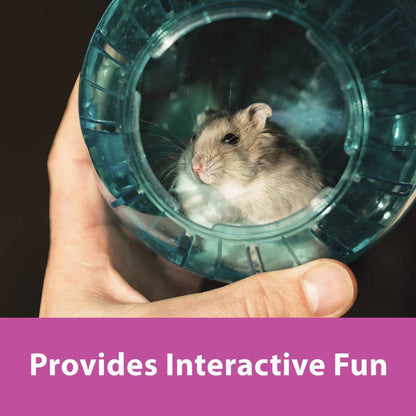 Kaytee Giant Run-About Mini Exercise Ball Rainbow - 5 inch - The Pet Source