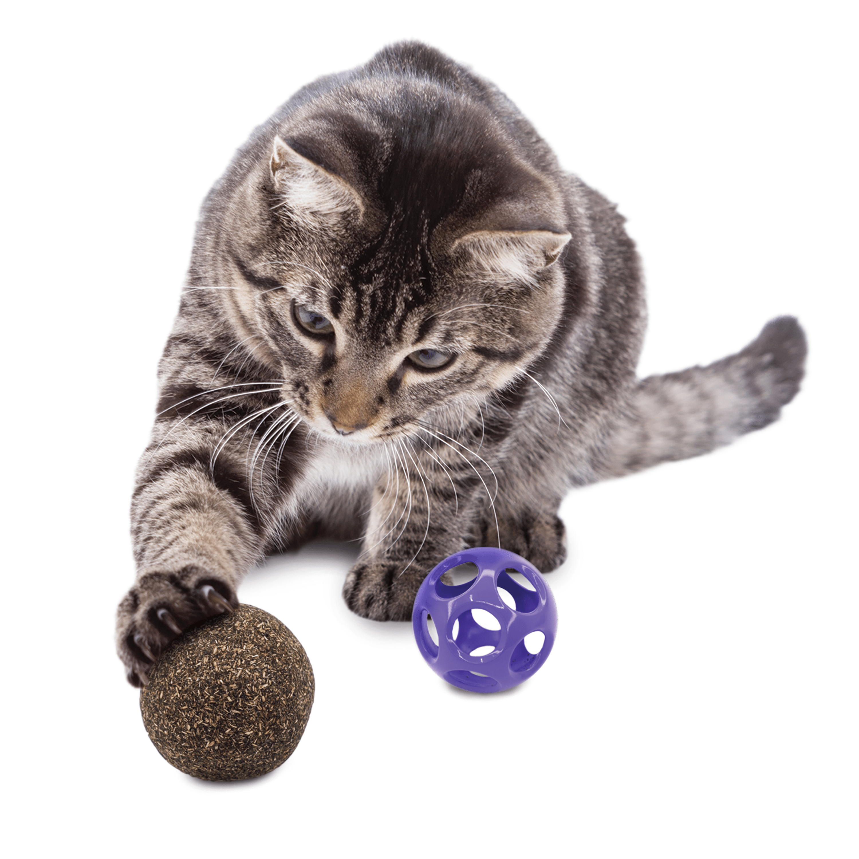 Kong Blissy Moon Ball with Catnip Cat Toy - The Pet Source