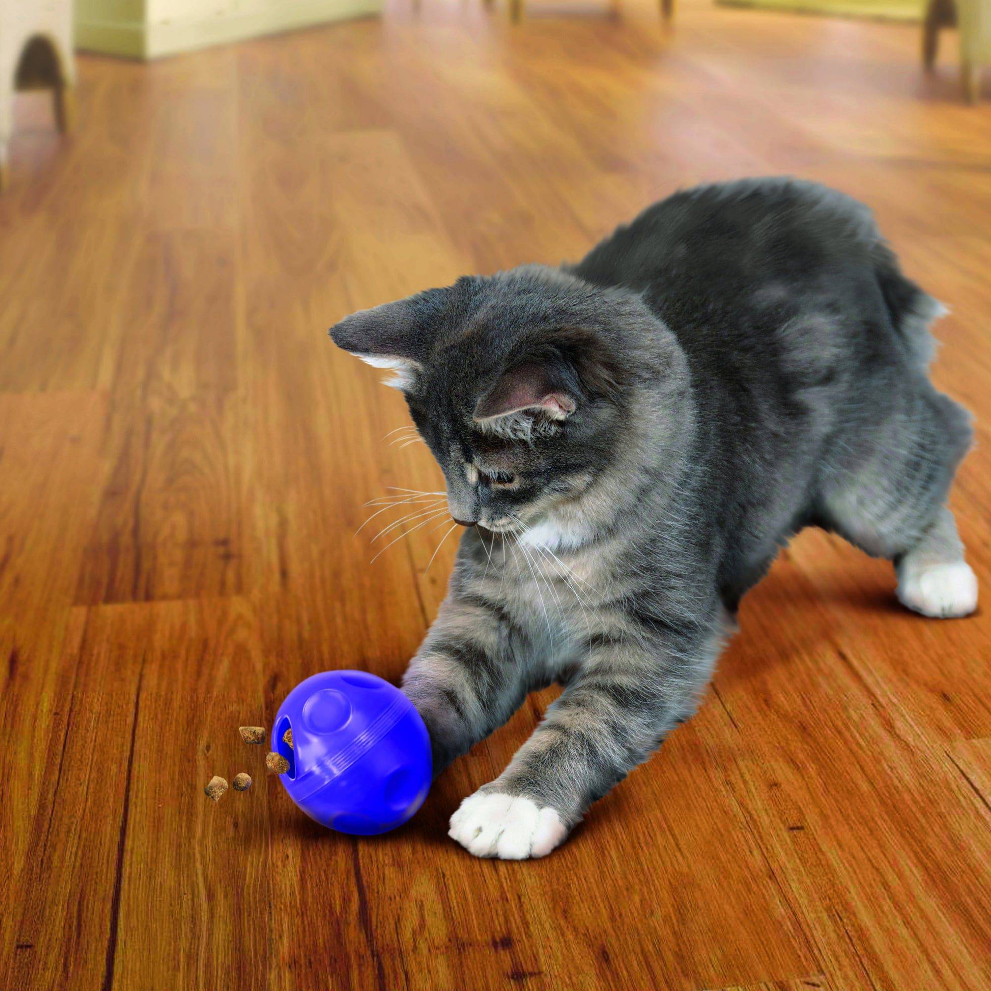 Kong Cat Dispensing Ball - The Pet Source