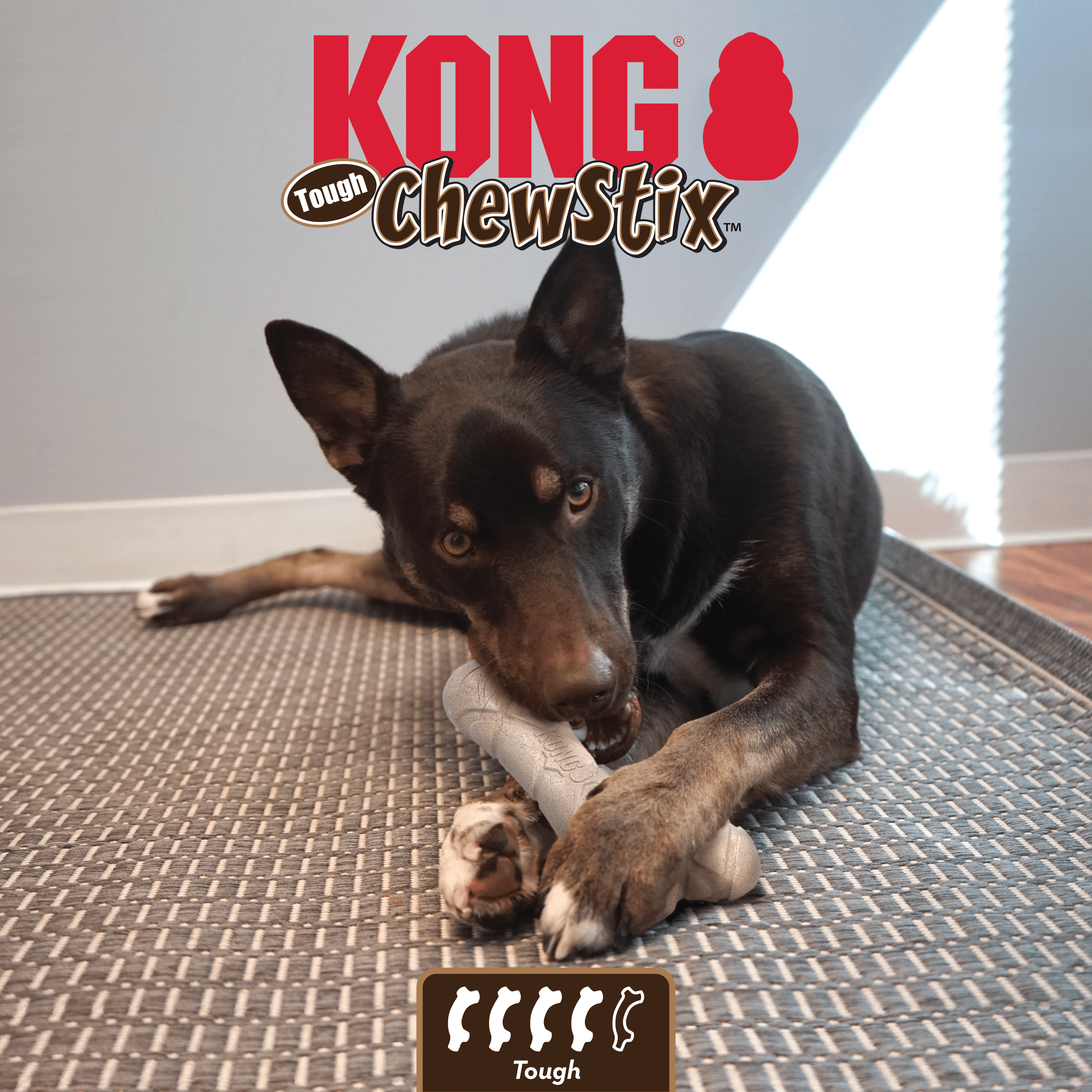 Kong Chewstix Tough Femur Large - The Pet Source