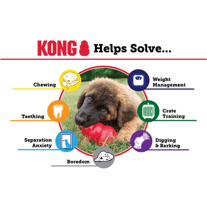 Kong Classic Medium - The Pet Source
