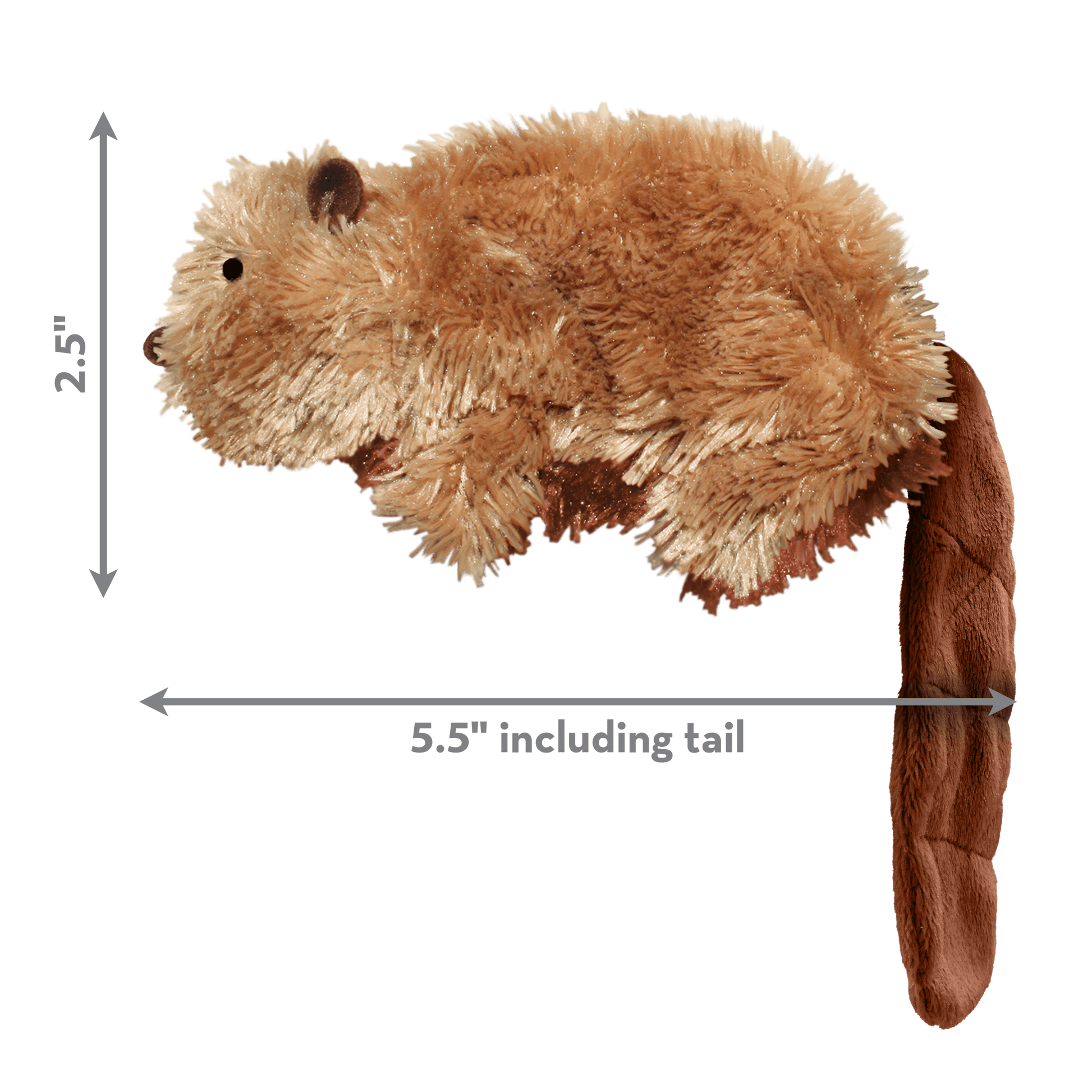 Kong Dr. Noyz Beaver Small - The Pet Source