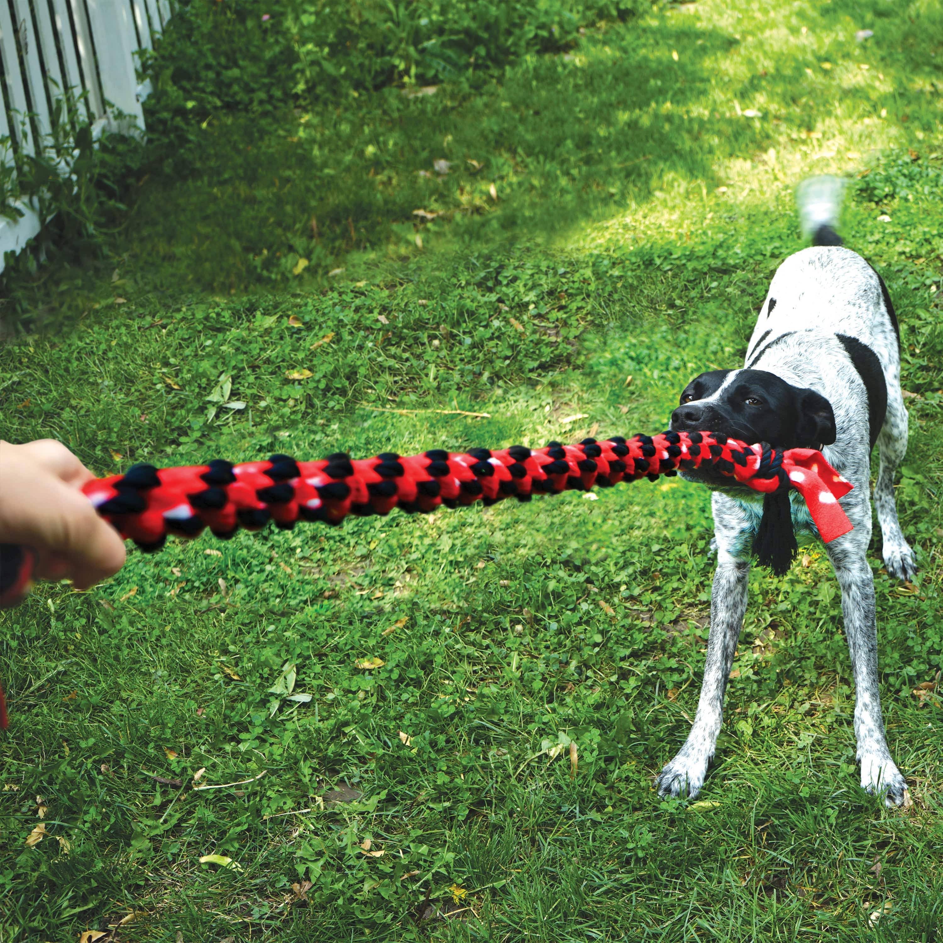 Kong Signature Rope Dual Knot With Ball - The Pet Source