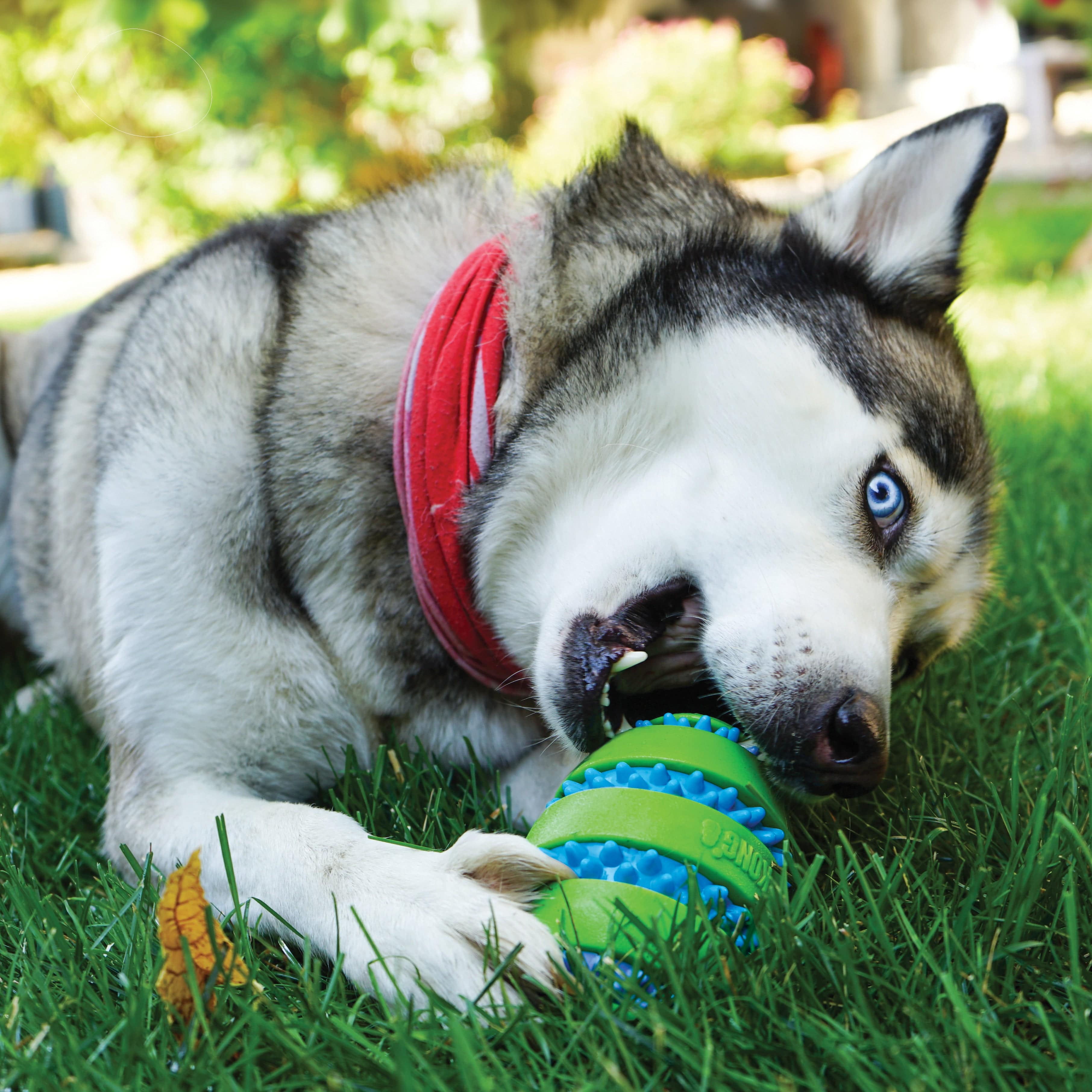 Kong Squeezz Goomz Football - The Pet Source