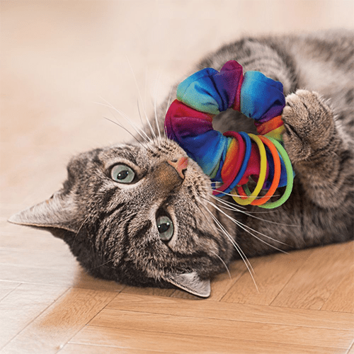 Kong Cat Active Scrunchie Cat Toy - The Pet Source