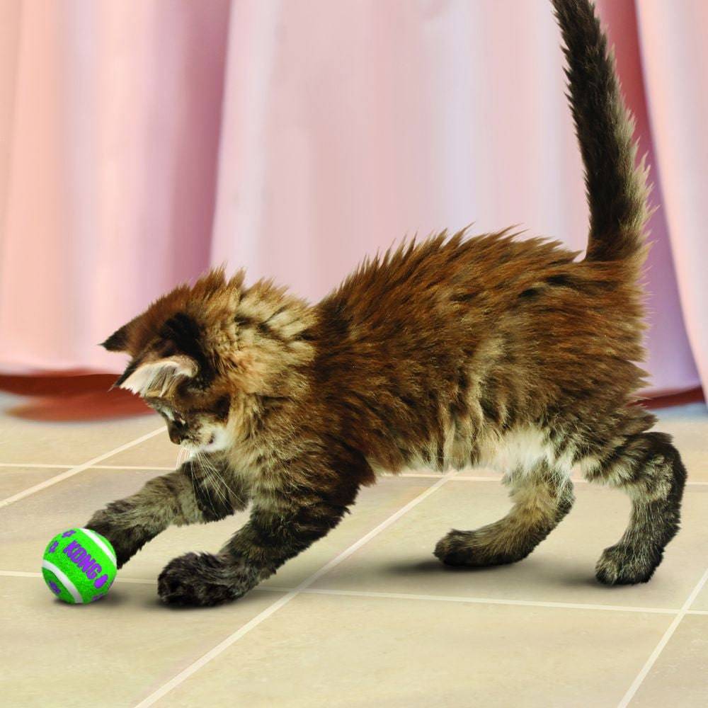 Kong Cat Active Tennis Balls With Bells - The Pet Source