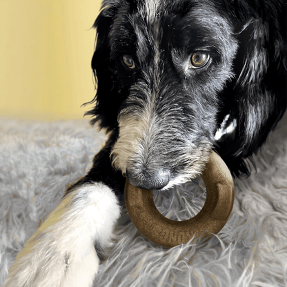 Kong Bamboo Rockerz Ring Medium - The Pet Source