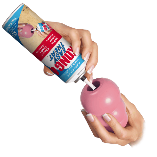 Kong Easy Treat Puppy 8 oz - The Pet Source