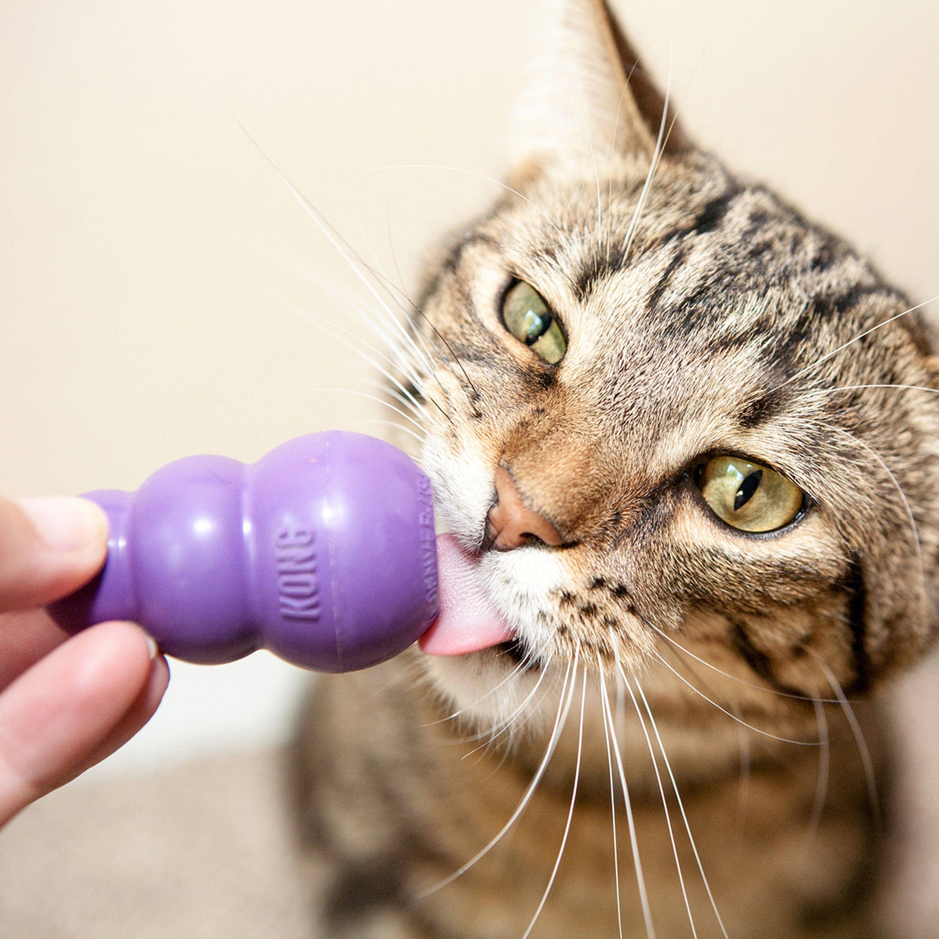 Kitty Kong Cat Toy - The Pet Source