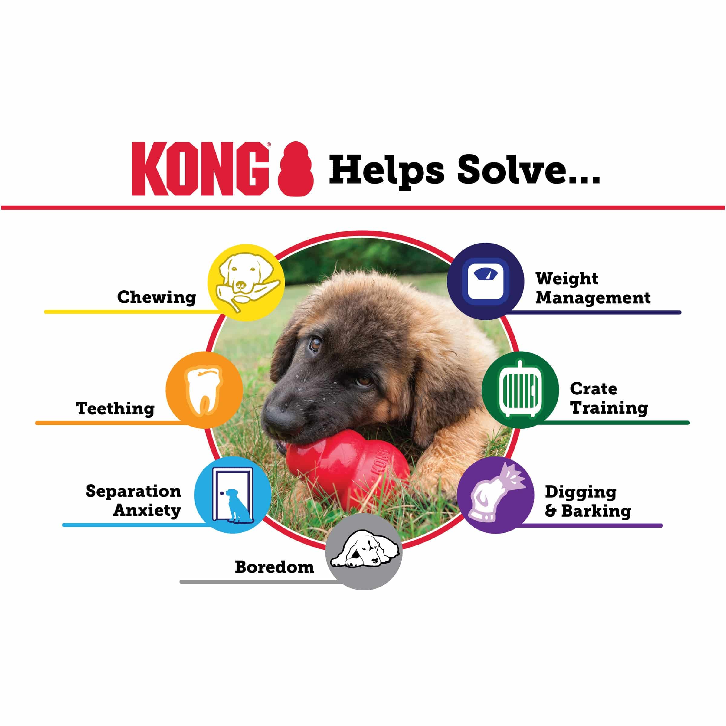 Kong Puppy - Extra Small - The Pet Source