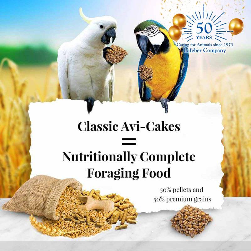 Classic Avi-Cakes for Macaw & Cockatoo - 1lb - The Pet Source