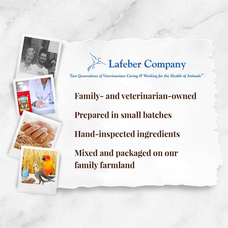 Lafeber Classic Avi-Cakes for Small Birds - 8oz - The Pet Source