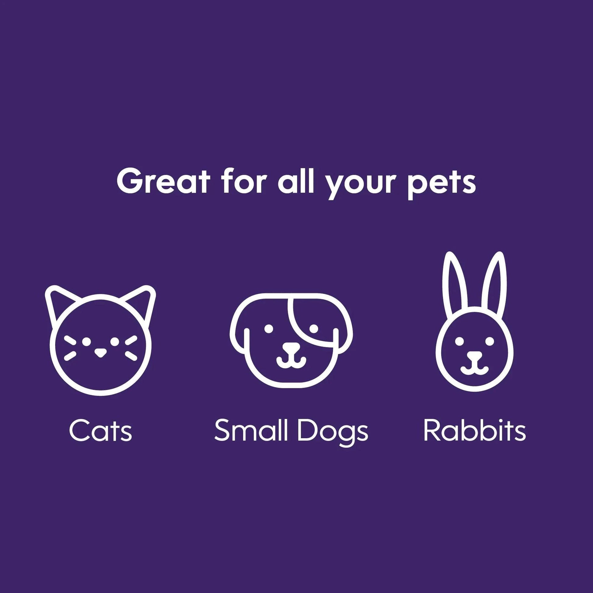 Litter Genie Plus Cat Litter Pail Disposal System - Silver - The Pet Source