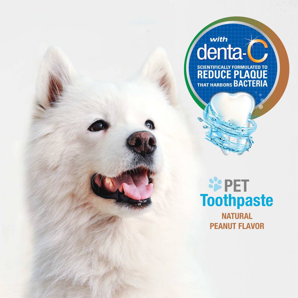 Nylabone Advanced Oral Care Natural Toothpaste - The Pet Source