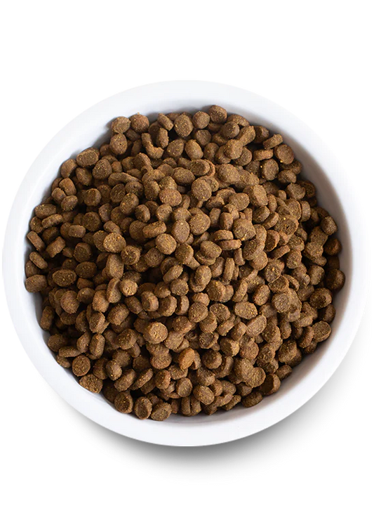 Open Farm Homestead Wild Caught Salmon Dry Cat Food - 8lb - The Pet Source