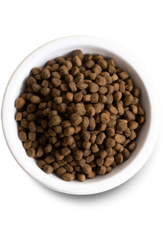 Open Farm Pasture Raised Lamb & Ancient Grains Dry Dog Food - 22lb - The Pet Source
