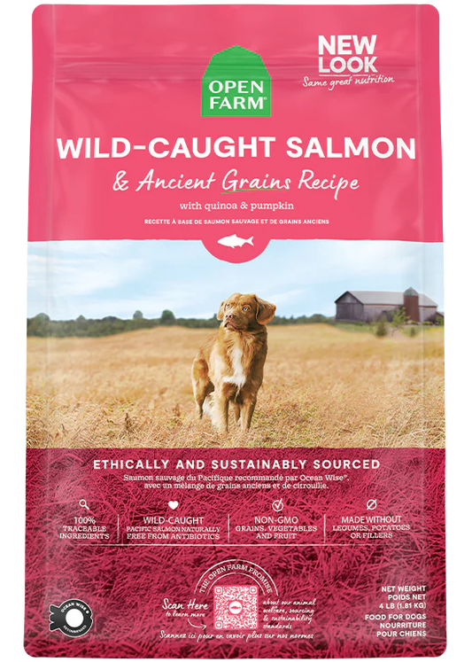 Open Farm Wild Caught Salmon & Ancient Grains Dry Dog Food - 22lb - The Pet Source