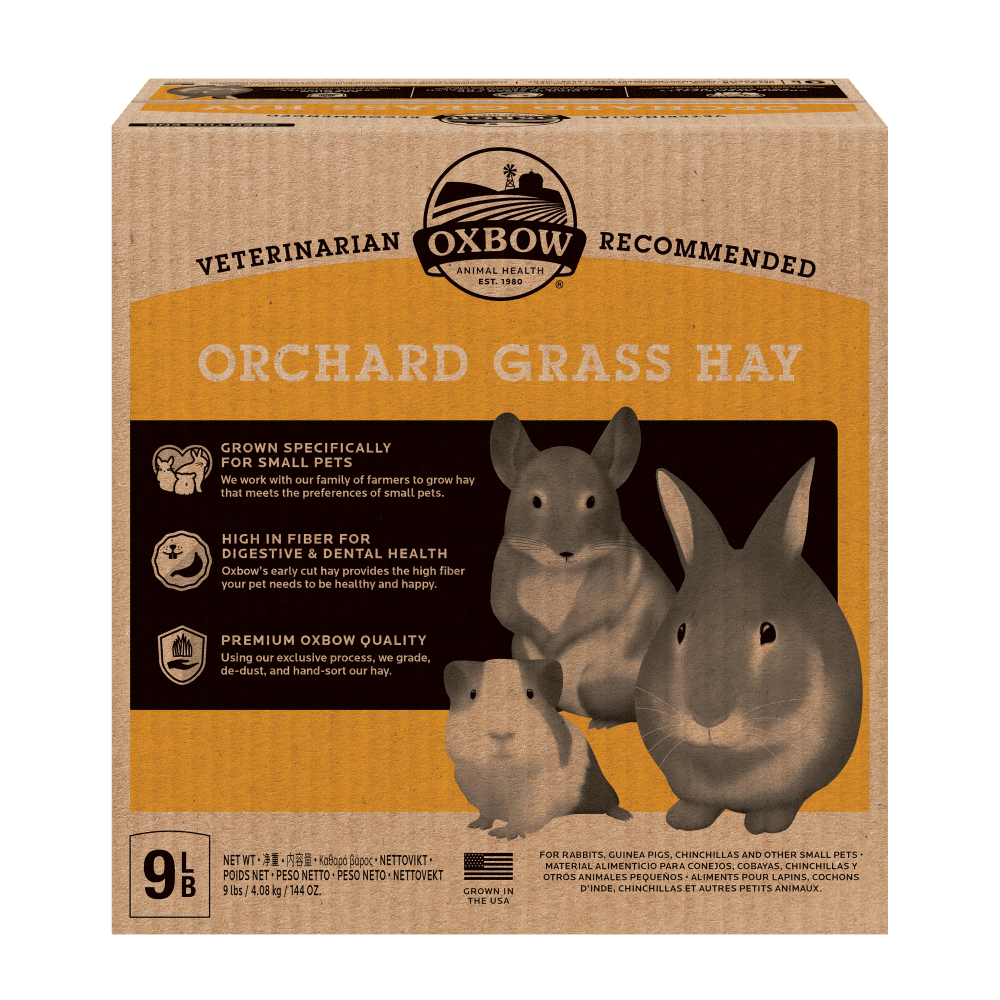 Oxbow Orchard Grass Hay - 9lb – The Pet Source