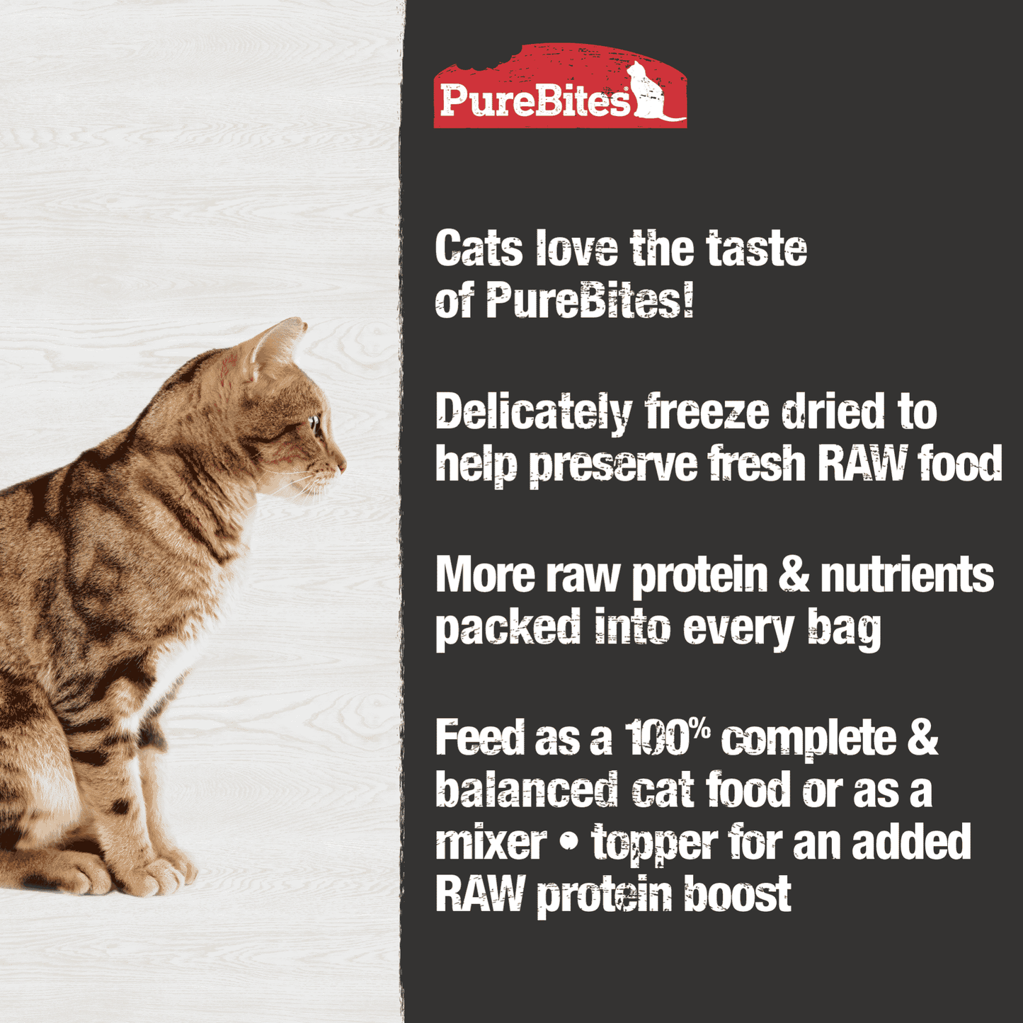 PureBites Chicken Recipe Cat Food Toppers 80 gm - The Pet Source