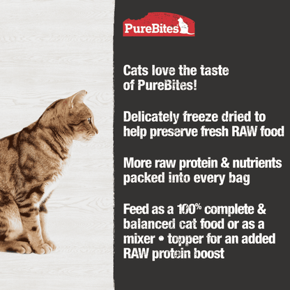 PureBites Chicken Recipe Cat Food Toppers 80 gm - The Pet Source