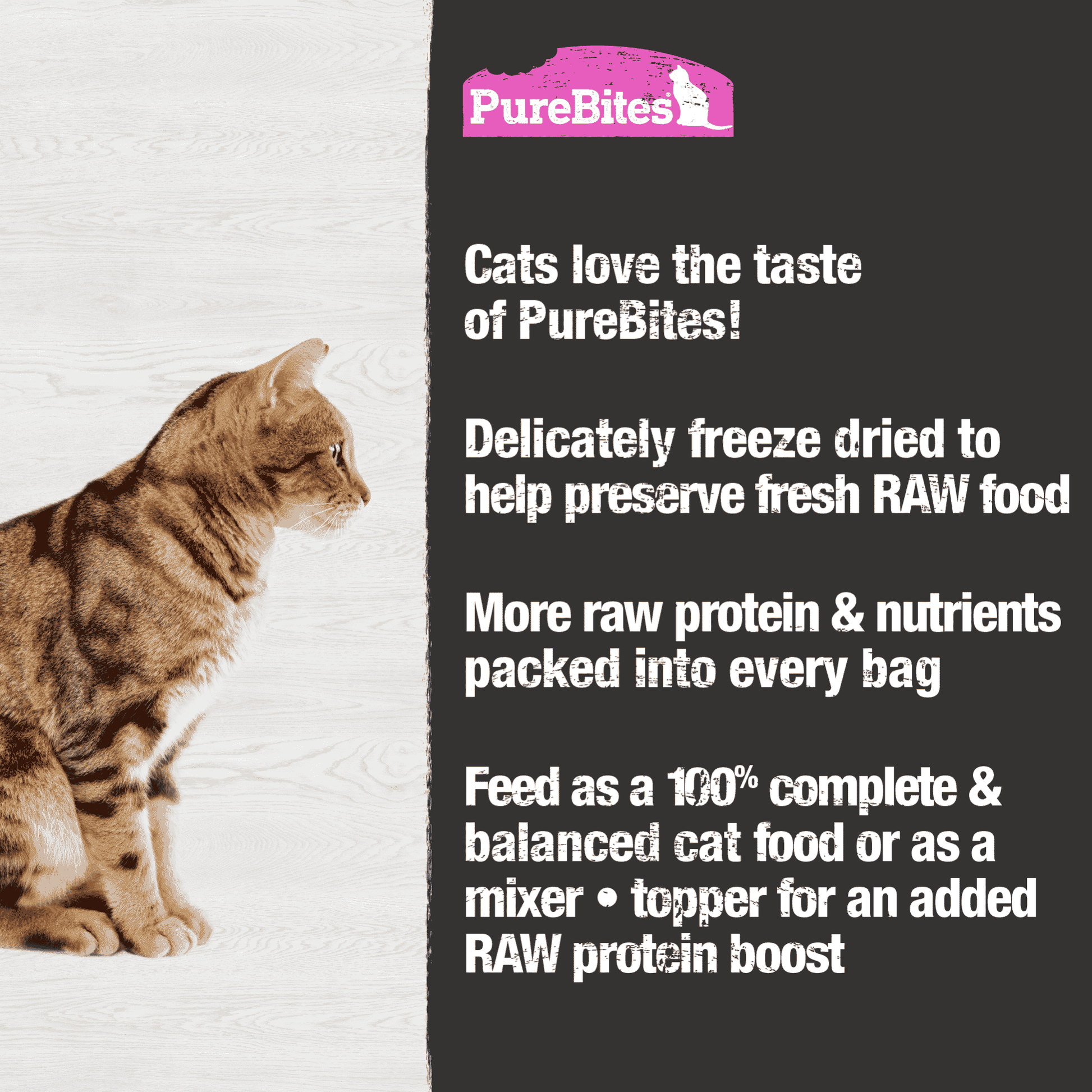 PureBites Salmon Recipe Cat Food Topper 69 gm - The Pet Source