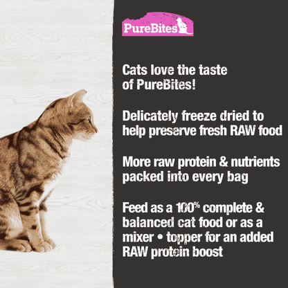 PureBites Salmon Recipe Cat Food Topper 69 gm - The Pet Source