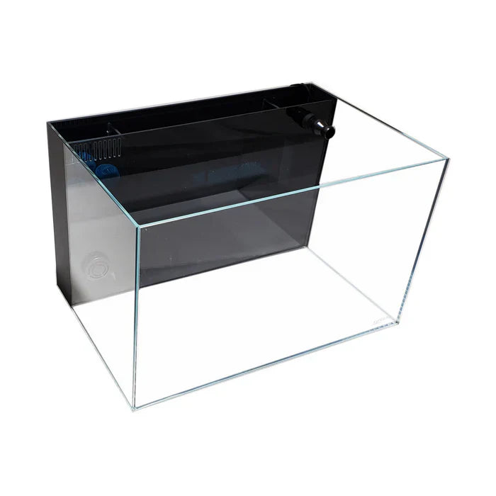 Lifegard Aquatics Crystal 45 Degree Low Iron Ultra Clear Aquarium AIO - 24 gal - The Pet Source