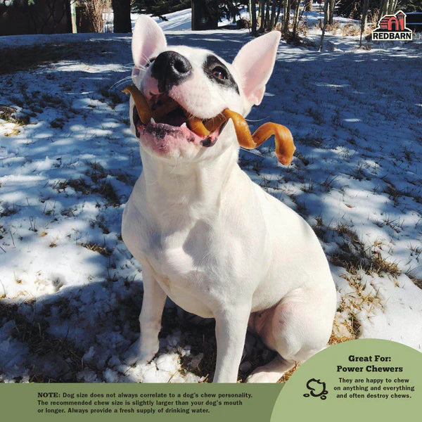 Redbarn Bully Spring Dog Chew - 1pc - The Pet Source