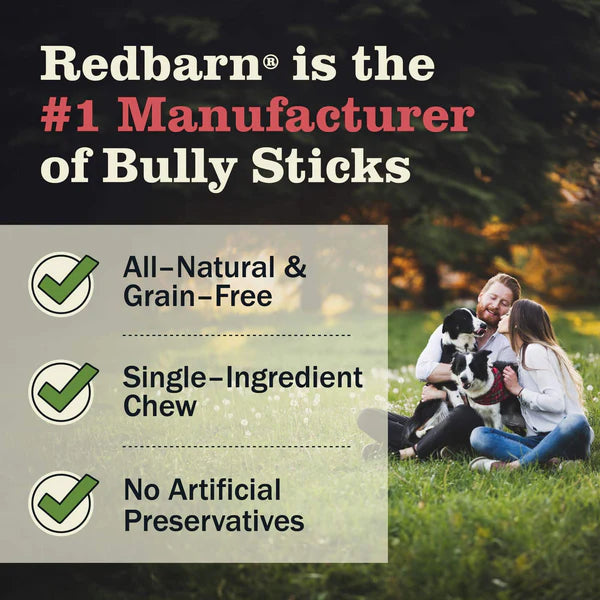 Redbarn Bully Stick Dog - 7in - 1pc