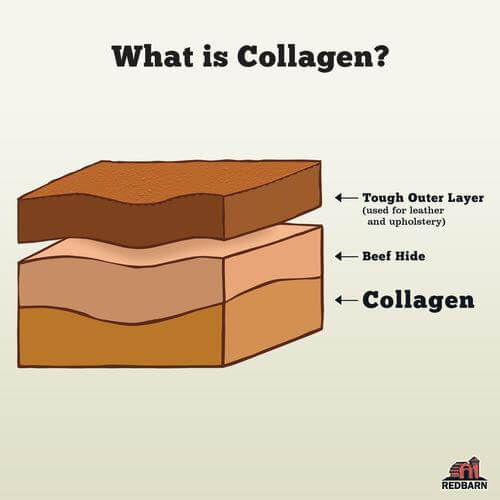 Redbarn Collagen Barbell - 1pc - The Pet Source