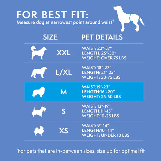 Simple Solution Disposable Female Dog Diapers Small - 12 pack - The Pet Source