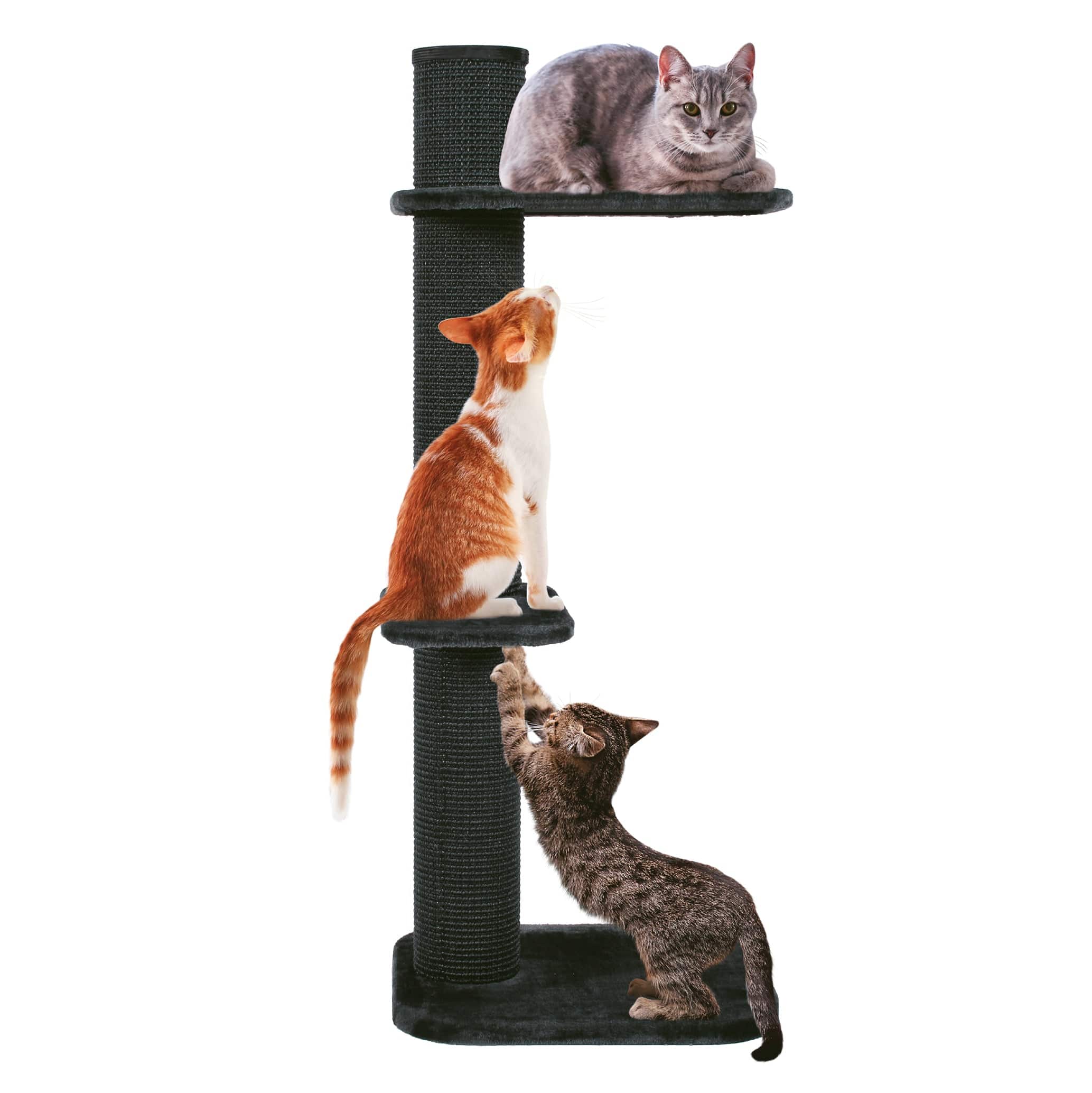 Zolux City Cat 3 Scratching Post with 2 Platforms - Grey - 59 x 61 x 148 cm - The Pet Source