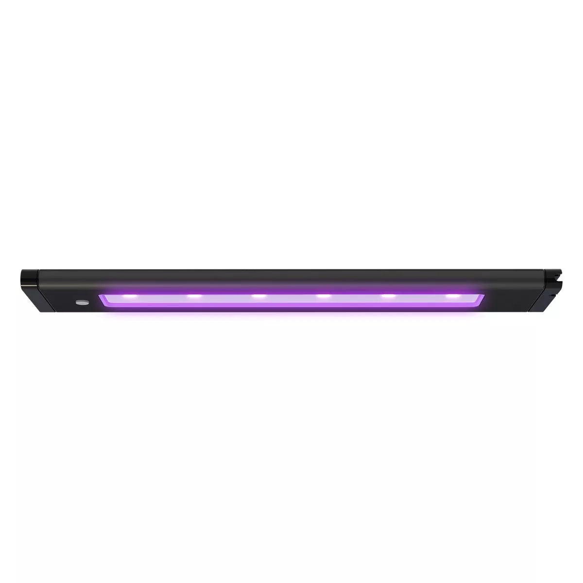 AquaIllumination Blade Coral Glow 21" - The Pet Source